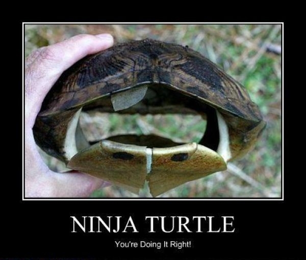 The Real Ninja Turtle
