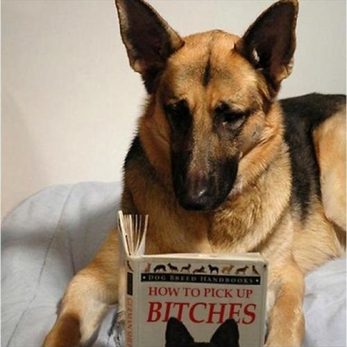 How to pick up b*tches