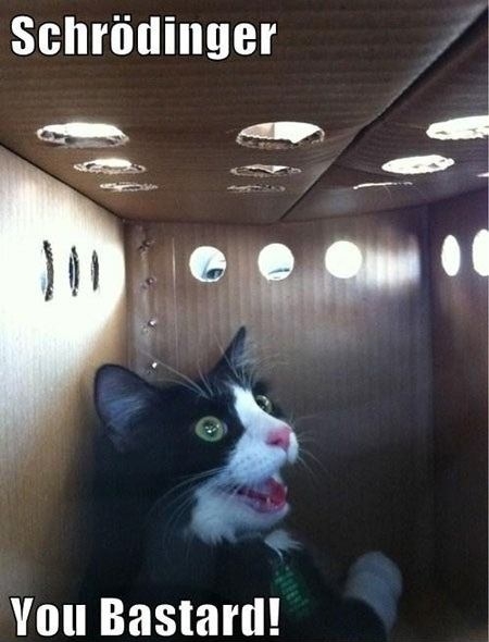 Will it still love boxes?