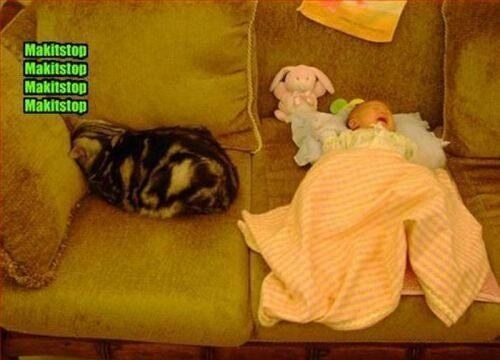 How I feel babysitting