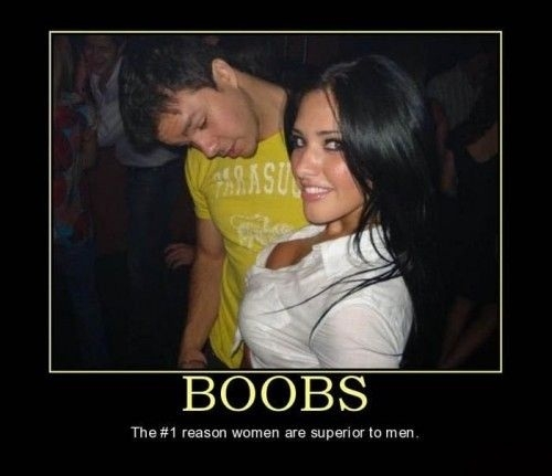 They make up for everything!