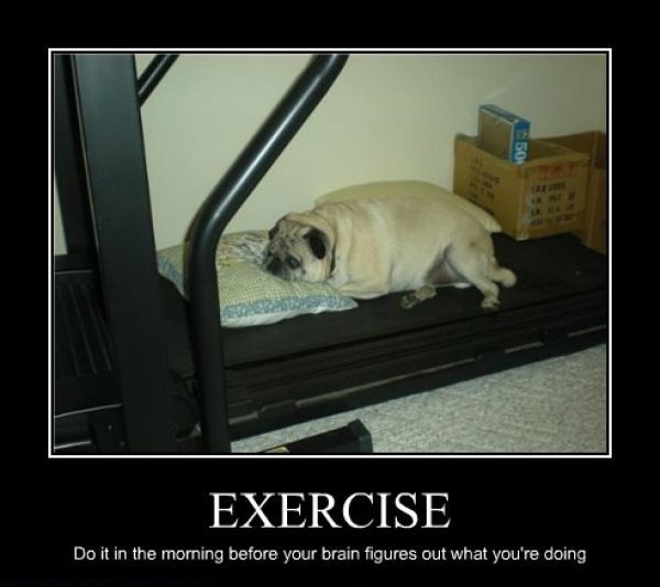 Exercise