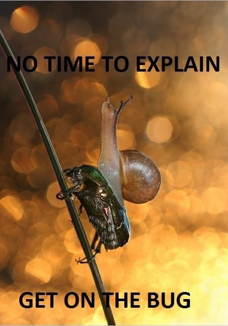 There's no time to explain!