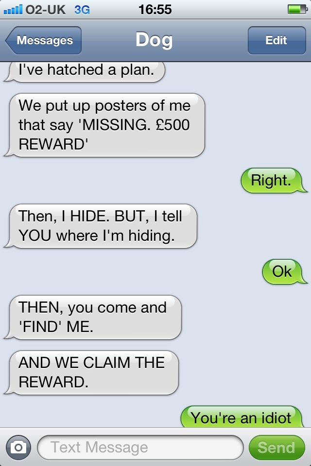 Stupid plan from Dog