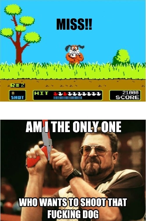 Miss the duck and he laughs