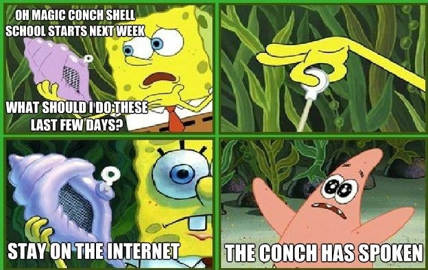 The Conch Has Spoken