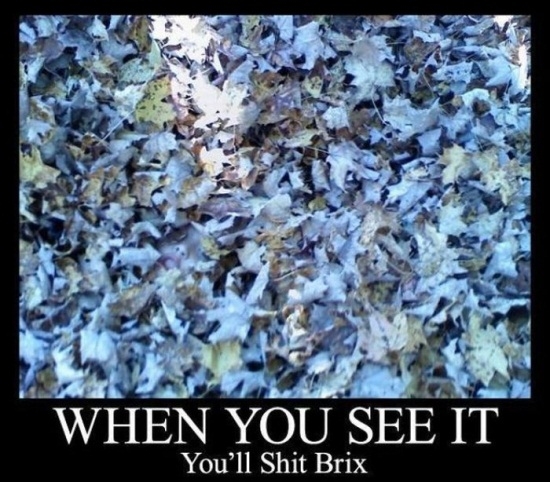 When you see it