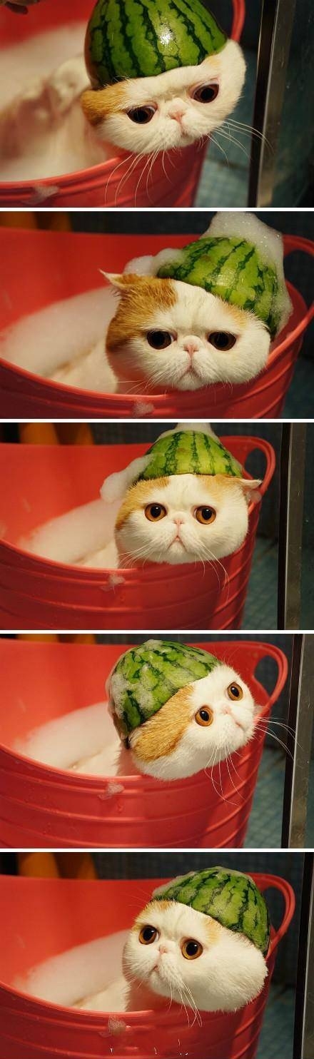 Melonhead taking a bath