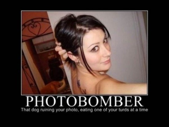 Photobomber