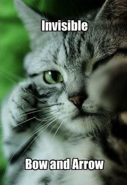 Invisible
