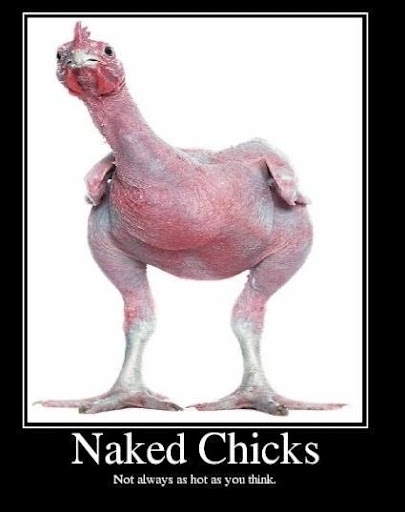 N*ked chicks
