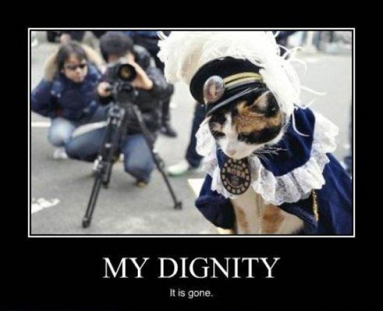 Poor kitty lost it's dignity