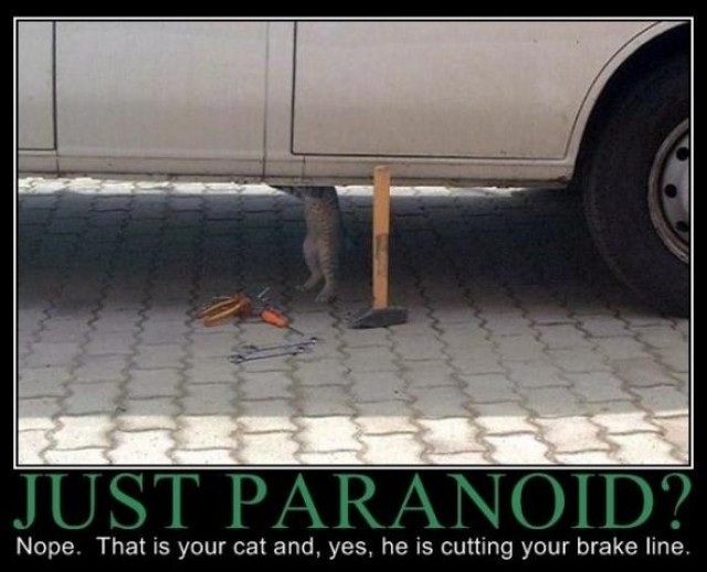 Paranoid?