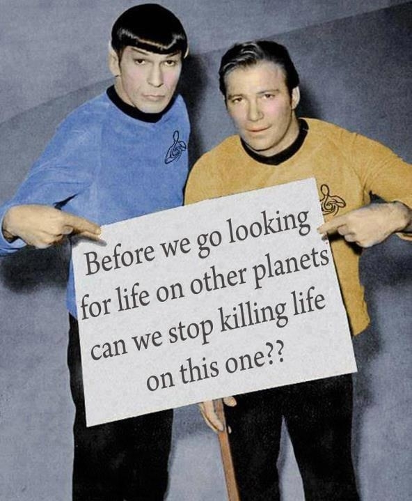 Star Trek Message