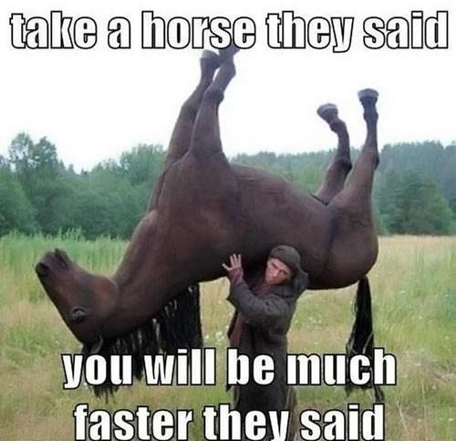 Take a horse they said