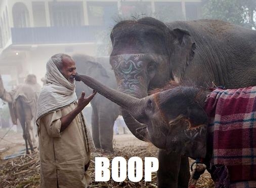 Best boop ever