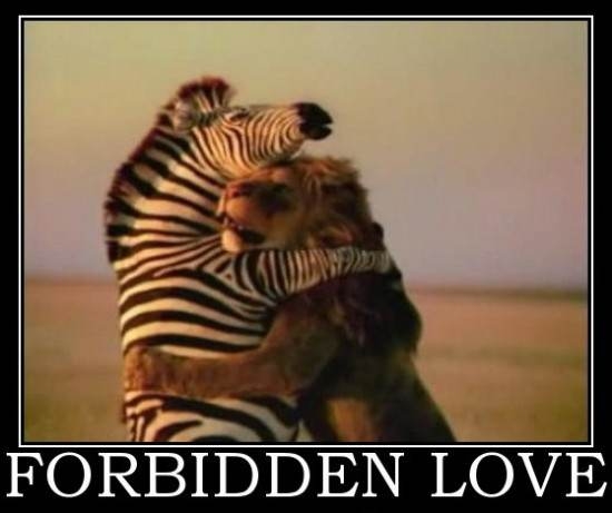 Forbidden Love