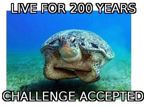 Challenge accepted!
