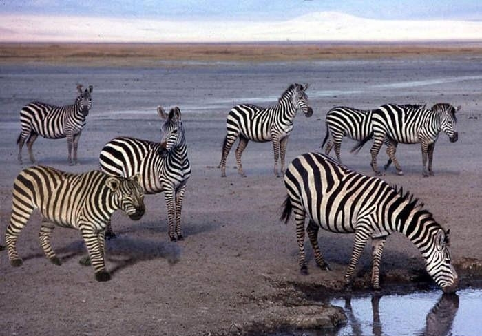 Something's not right here