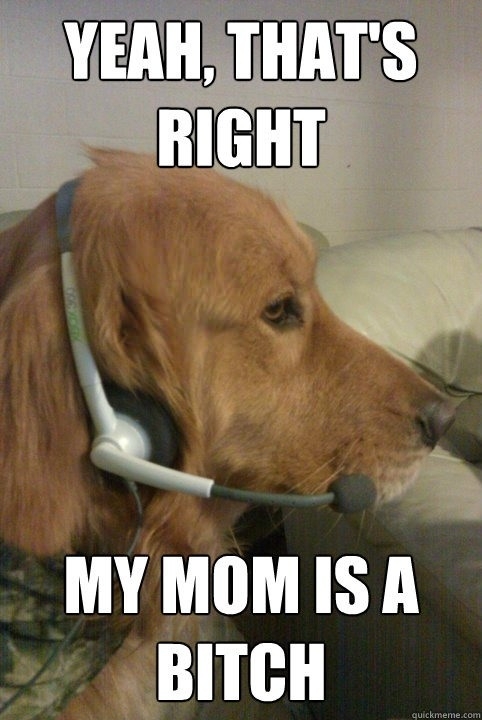 Xbox Live Dog