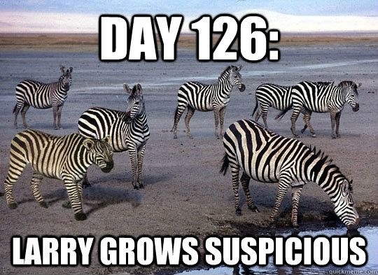 Zebras, zebras everywhere