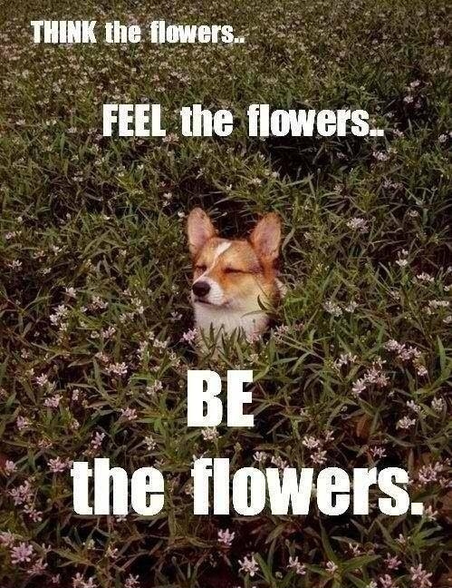 True way to find peace