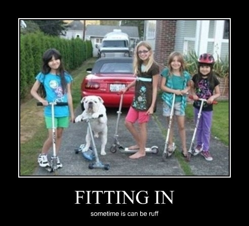 Fitting in