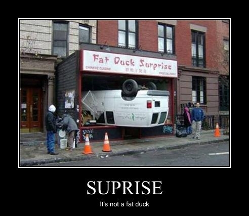 Surprise!