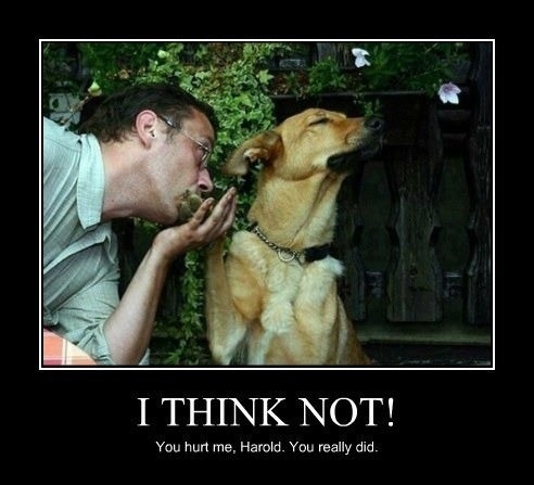 Will you forgive me?