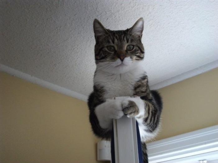 Tell me about your life