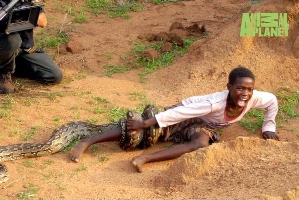 Why didn't they help him