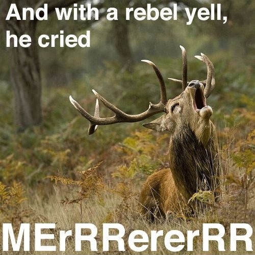 With a rebel yell..