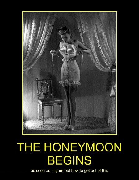 The Honeymoon Begins