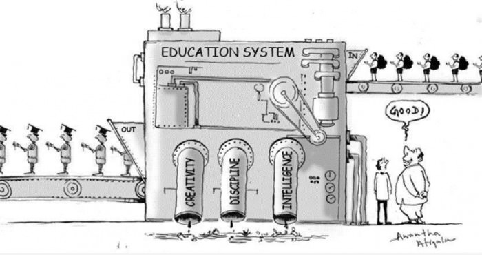 The Education System
