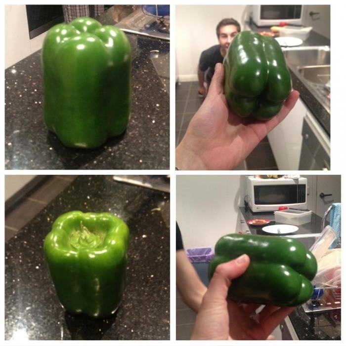 The perfect capsicum