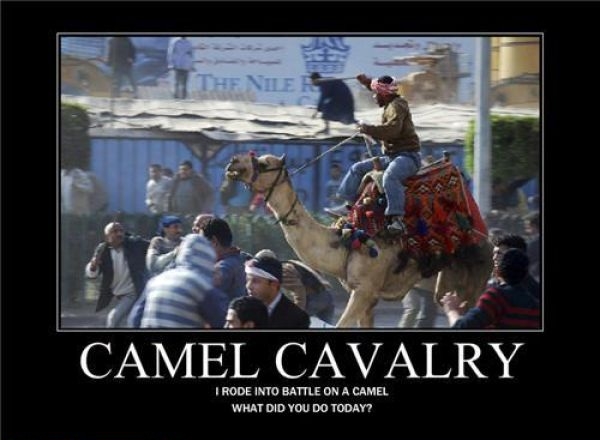 Camel Cavalry