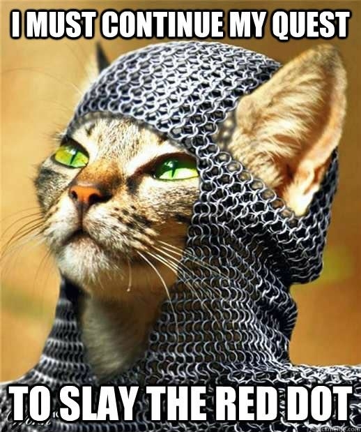 Sir Whiskers is undeterred