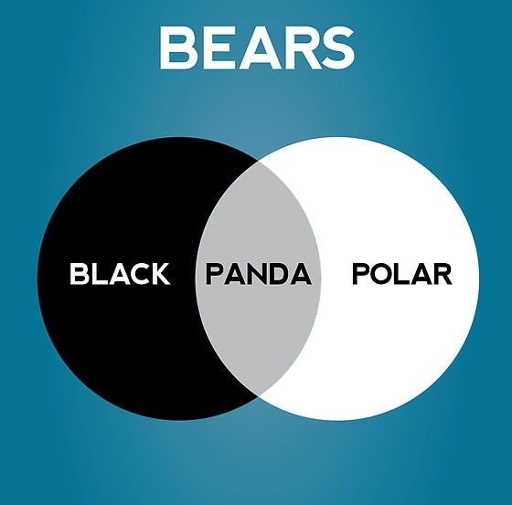 Bears Venn Diagram