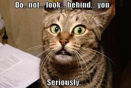 Scared to look now arent you?