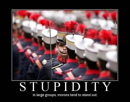 Stupidity