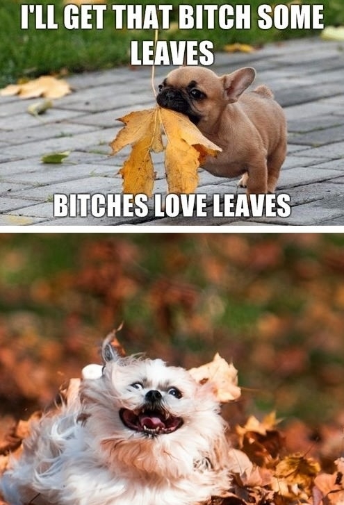 I'll get that b*tch leaves