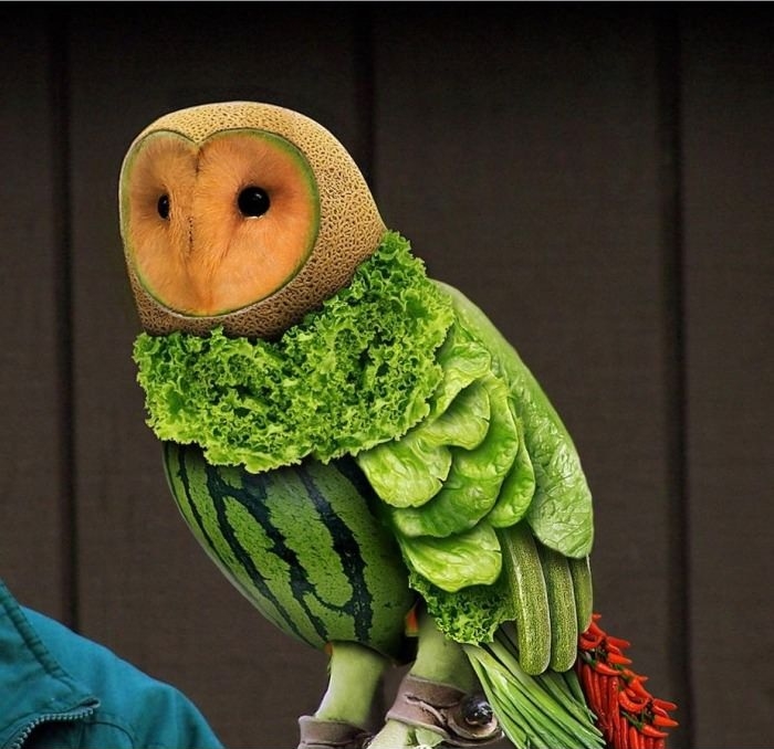 Vegetable Owl