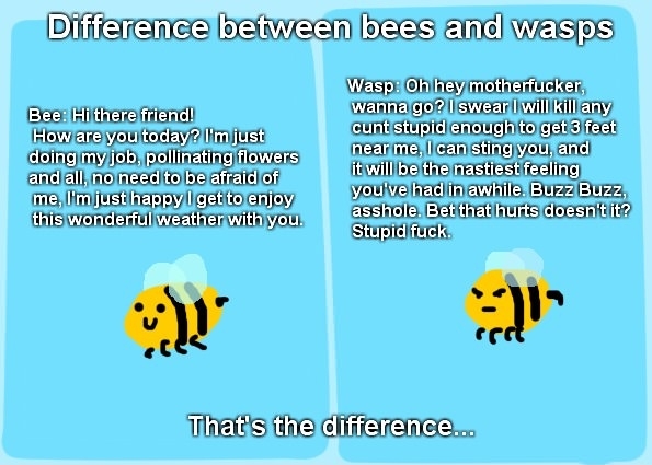 Bees & Wasps