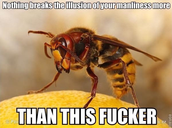 Why do they even exist?