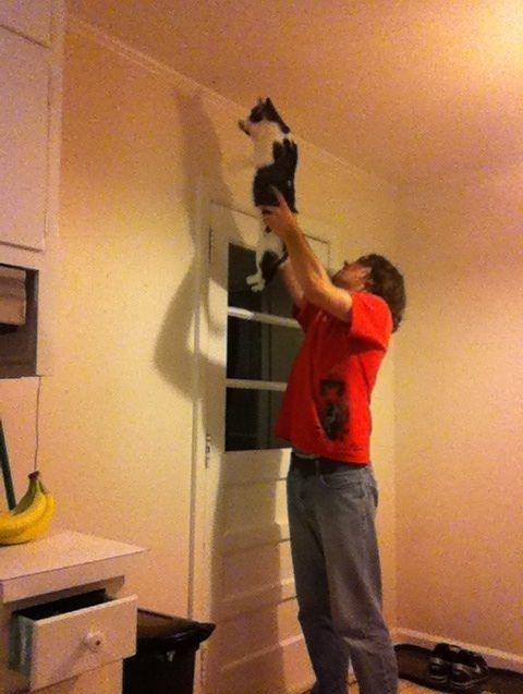 How to kill moths