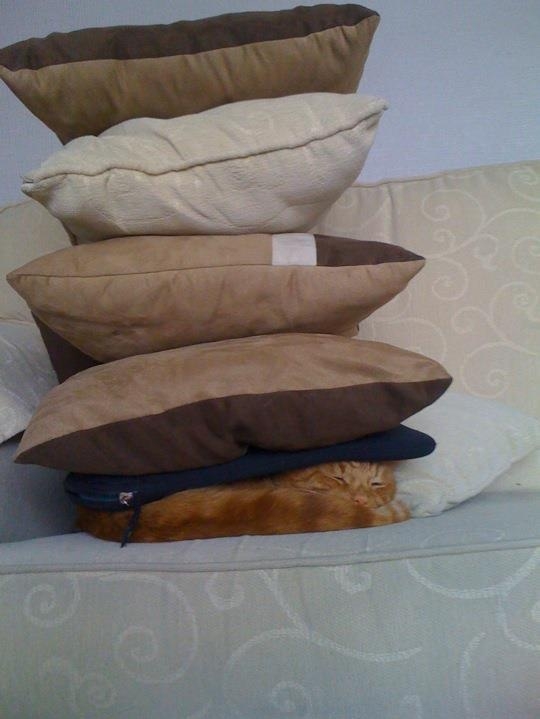 Not a single f**k given