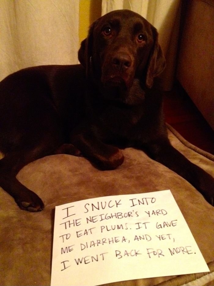 I went back for more