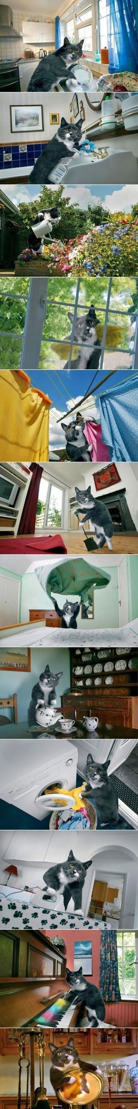 Human mom is mainstream