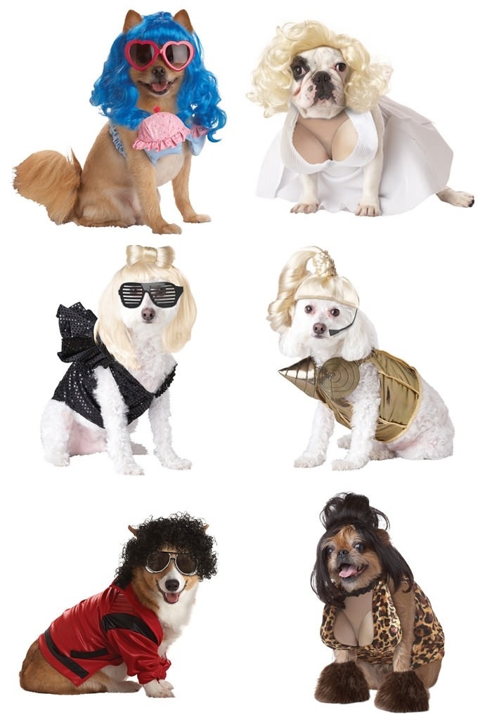 Celebrity dog costumes
