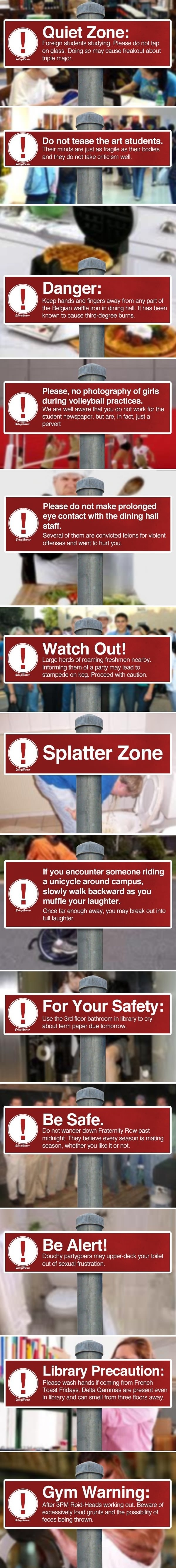 Do you love your college?